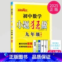 [正版]2025小题狂做提优版九年级数学上册下册九上苏科版SK苏教版江苏9年级上九下同步专项训练课时作业初三辅导书练习册