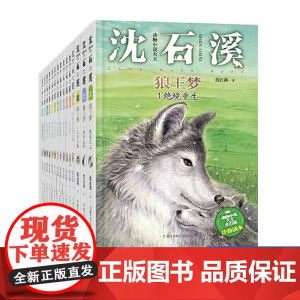 动物小说大王沈石溪作品全套3册正版注音版读本6到10岁儿童故事书小学生一二三四年级课外阅读书籍绝境重生魂断荒野王者之魂