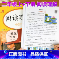 语文阅读理解[上下册] 小学二年级 [正版]新版二年级阅读理解训练人教版上下册全套2册注音版 小学2年级语文阅读理解专项