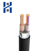 燕通 YJV22两芯铠装电源线 0.6/1KV-YJV22-2*10平方/米