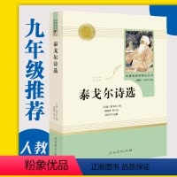 [正版]泰戈尔诗选人民教育出版社九年级上册 初中版初中生初三上册语文课外阅读完整版人教版泰戈尔著