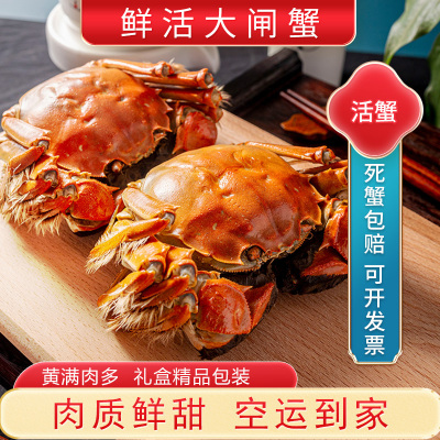 [活蟹]大闸蟹全母2两-2.3两 8只中秋礼盒 去绳足重精品活蟹河蟹鲜活苏州直发