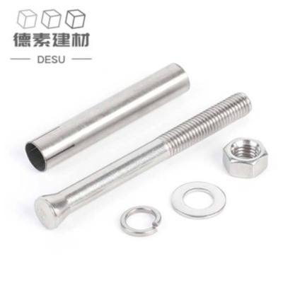 德素 不锈钢膨胀螺栓 M12*80 个