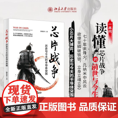 芯片战争 历史与今天的半导体突围 脑极体 著 经济