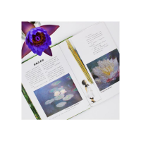 [M]小莲游莫奈花园(2册)-2401981000033