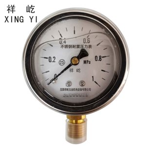 祥屹+不锈钢耐震压力表检测定制型+YN60BF +块