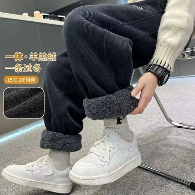 男童加绒裤子冬季新款儿童秋冬加厚棉裤冬装羊羔绒运动裤