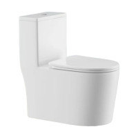 沃奈斯 Oh nice 马桶虹吸式连体坐便器 665*370*750mm 坑距300/400mm 个