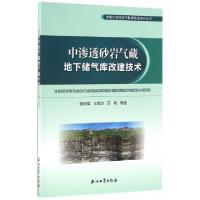 音像中渗透砂岩气藏地下储气库改建技术钱根葆,王延杰,王彬等著