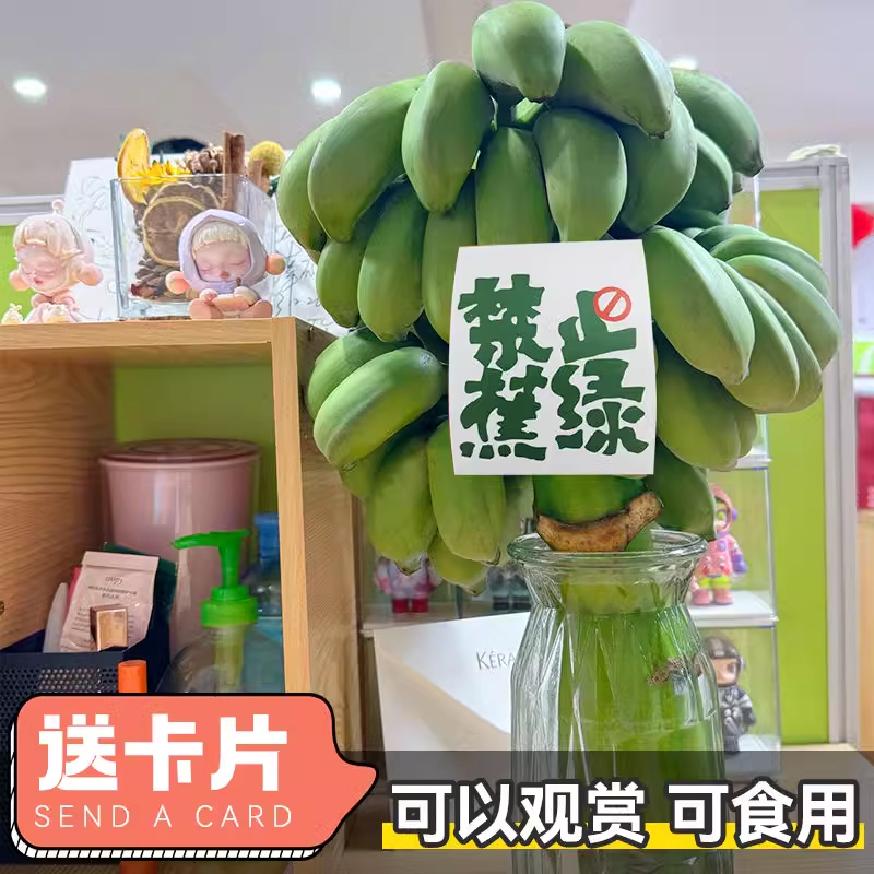 卡片随机[西沛生鲜]新鲜小米蕉 禁止蕉绿 4斤 2-3把 新鲜当季水果 香甜软糯 办公桌绿植