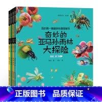 奇妙的亚马孙雨林 [正版]儿童绘本幼儿科普科学书全4册儿童趣味科普图画书 奇妙的亚马孙雨林大冒险 奇妙的书科普书籍课外书