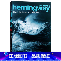 老人与海 [正版]灿烂千阳 英文原版小说 A Thousand Splendid Suns 英文版进口书The Kite