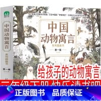 给孩子的动物寓言 三年级版 [正版]男生贾里 秦文君著 三年级下册必读课外书少年儿童出版社四年级小学生阅读全传老师图书少