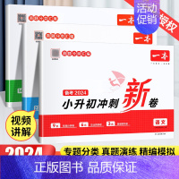 不偏科⭐[语文+数学+英语]考卷大集结 小学升初中 [正版]2024新版小升初冲刺新卷语文数学英语小升初真题卷人教版名校