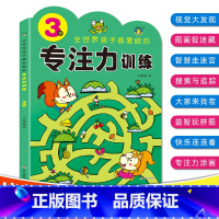 [正版]专注力训练书3岁全世界孩子都爱做的儿童益智专注力提升全脑逻辑思维训练书籍宝宝捉迷藏隐藏的图画走迷宫书找不同注意