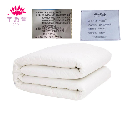 芊澈萱 加厚四季床褥 90*200 床