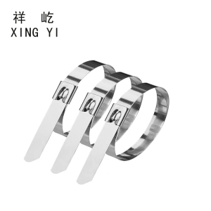 祥屹 不锈钢扎带(201) 16 根