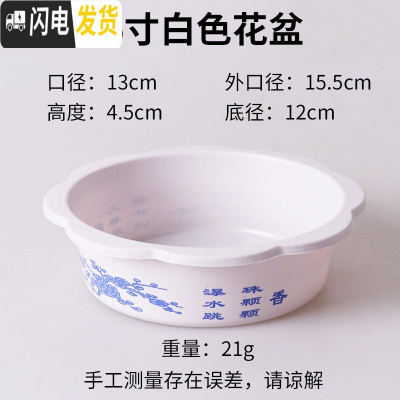 三维工匠水仙水培花盆塑料盆简约方便实惠碗莲盆睡莲盆銅錢古典花边无孔 经典款:大号8寸白色20个 中等花盆容器