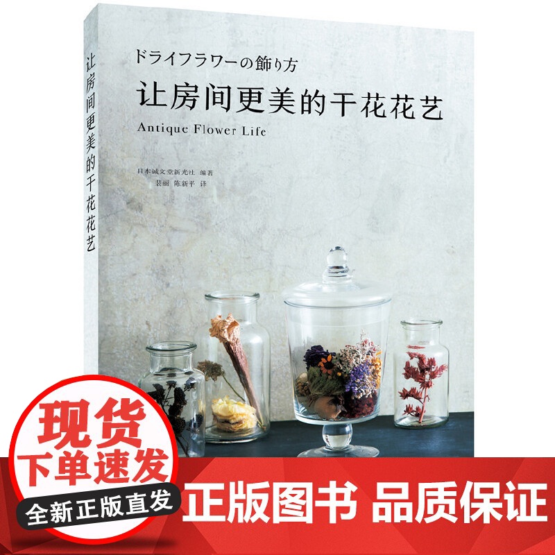 让房间更美的干花花艺 正版书籍