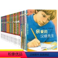[正版]国际大奖小说系列(共59册)蒂莉阿姨的魔法箱(升级版)/国际大奖小说苹果树上的外婆亲爱的汉修先生 教师儿童文学