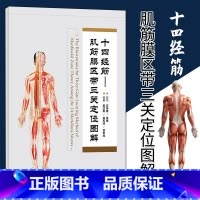 [正版] 十四经筋-肌筋膜区带三关定位挂图 人民卫生出版社9787117241199