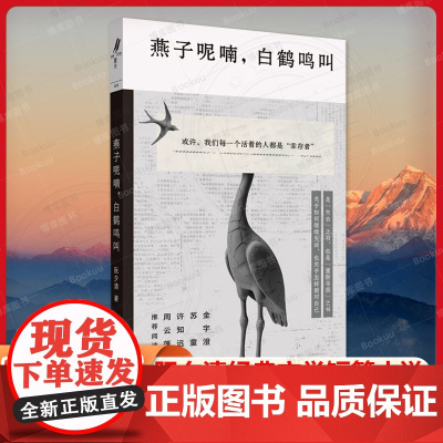 燕子呢喃白鹤鸣叫 阮夕清经典文学短篇小说重光relire上海文艺出版社中国现当代文学正版图书籍 金宇澄苏童许知远周云蓬阅