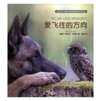 正版新书]爱飞往的方向[德] 塔尼亚∙布兰特 著,李琪 译9787544