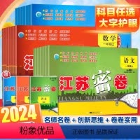 语文+数学+英语(3本) 二年级下 [正版]2024春新版江苏密卷语文数学英语一年级二年级三四五六年级上册下册江苏教版课