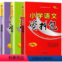 小学(语数英)资料包3册 小学通用 [正版]2024新版小学语文数学英语资料包通用版小升初基础知识大全语数英辅导资料教辅