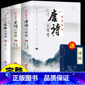 [全3册]唐诗+宋词+元曲 [正版]全3册 唐诗三百首唐诗宋词元曲全集古诗词大全集书全 高中生用鉴赏赏析诗词大会书籍全套