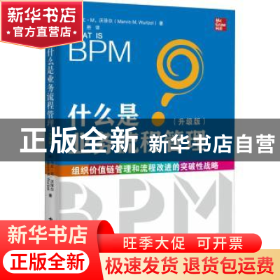 正版 什么是业务流程管理(升级版) [美]马文·M.沃泽尔 电子工业出