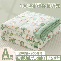 A类儿童全棉夏被空调被纯棉被子被芯宿舍棉被可机洗夏凉被四件套4