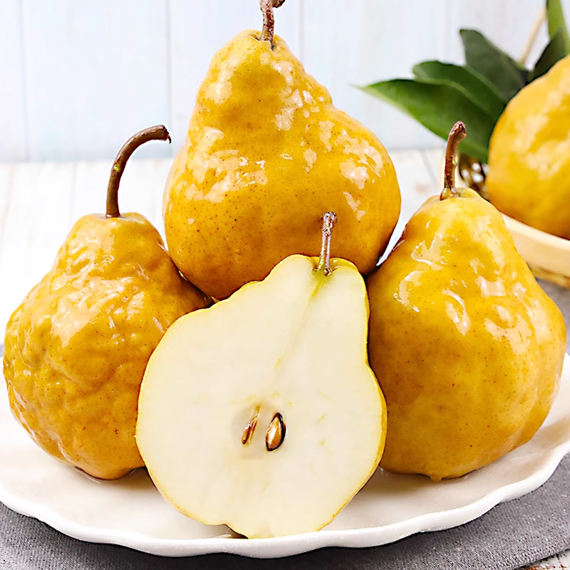 [熊猫鸟]山东中华丑梨 净重3斤 中果 单果75-80mm 单果中华太婆梨莱阳现摘啤梨软梨子新鲜当季孕妇老人水果