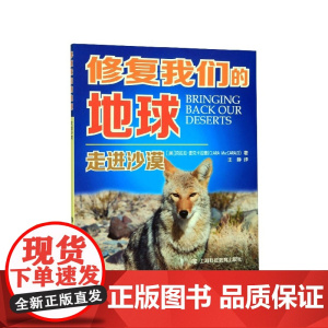 走进沙漠