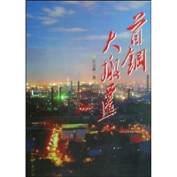 正版新书]首钢大搬迁王立新9787543472976