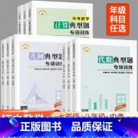 七+八+中考 全套9本[几何+计算+代数] 初中通用 [正版]初中数学计算题专项训练代数几何典型题七八九年级高效思维强化