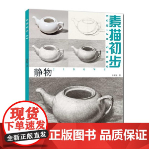 素描初步.静物