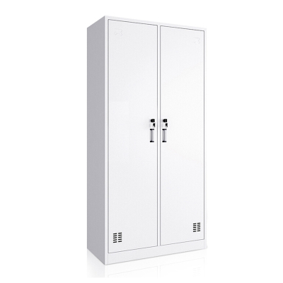 慧采云 办公家具优质钢制常规两门办公柜铁皮柜更衣柜柜子收纳柜储物柜850*420*1800mm