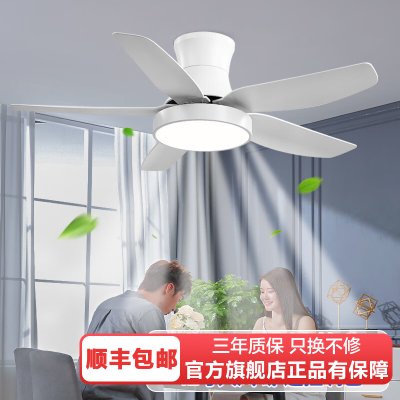 雷士照明家用餐厅客厅吊扇灯风扇吊灯简约现代电扇灯隐形风扇灯具