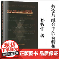 全新正版 数论与组合中的新猜想 数论与组合领域高校老师研究员研究生教材 哈尔滨工业大学出版社