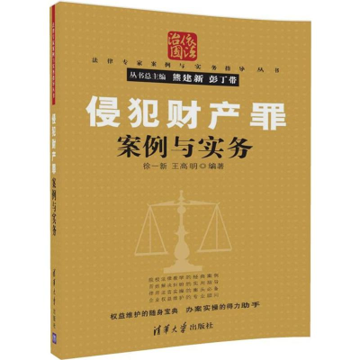 醉染图书侵犯财产罪案例与实务97873024777