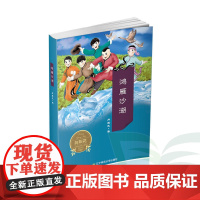 鸿雁沙湖