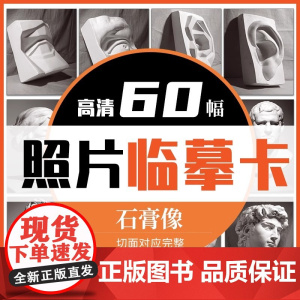 临摹卡石膏像照片 美术绘画写生参考素材图片美术培训教学60幅唯美文艺小清新精美卡片创意礼物原创作品学习卡片 一线美誉