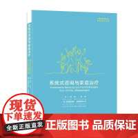 系统式咨询与家庭治疗 瑞纳·史汶 安德里亚斯·弗里斯泽尔 上海社会科学院出版社 正版书籍