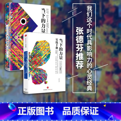 当下的力量系列(套装2册) [正版]当下的力量系列(套装2册) 当下的力量实践手册(白金版)+当下的力量(白金版) 埃克