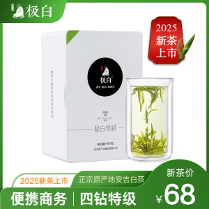 2025上市极白安吉白茶商务礼盒特级49.5g绿茶茶叶