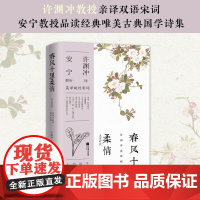 正版 春风十里柔情:汉英对照 许渊冲译 安宁解析 中英双语经典宋词 解读我们的情感中 那千年永恒的部分