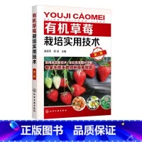 [正版]草莓栽培实用技术 第二版 草莓栽培技术入门 大棚温室科学种植养殖草莓教程 草莓生产过程病虫害防治书草莓高产栽培
