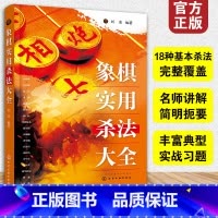 [正版] 象棋实用杀法大全 刘准 18种基本杀法全覆盖 名师讲解简明扼要 实战习题技巧运用 零基础象棋自学教程图书籍