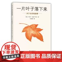 正版童书 一片叶子落下来